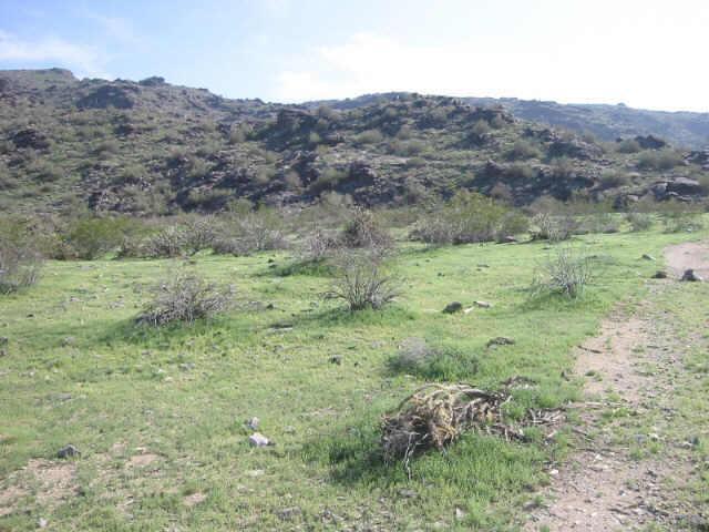 8714 S 24th Way #9, Phoenix, AZ 85040