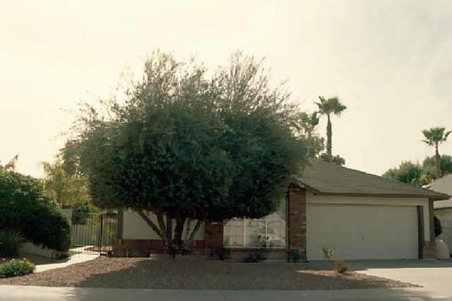 8013 E Tuckey Ln., Scottsdale, AZ 85253