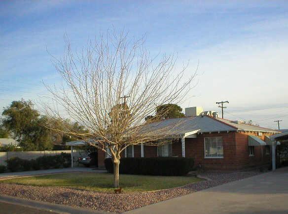 2129 W Whitton Ave., Phoenix, AZ 85015