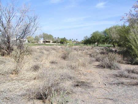 19126 E Via Hermosa Rd. #1176, Rio Verde, AZ 85263