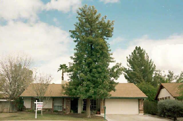 1406 W Stottler Ct., Chandler, AZ 85224