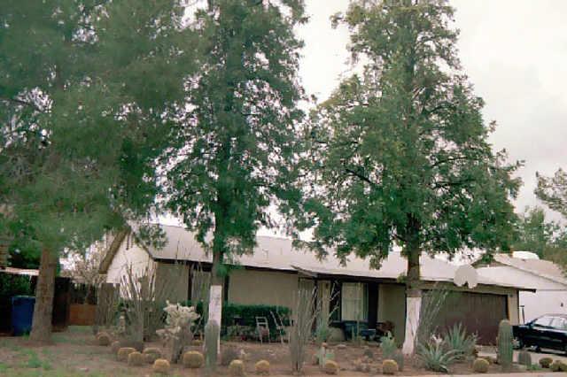 803 W El Alba Way, Chandler, AZ 85225