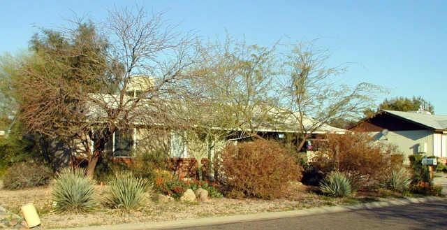 530 95th. St., Mesa, AZ 85207