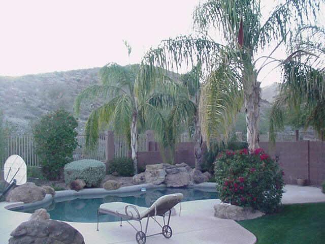 14256 S 12th St., Phoenix, AZ 85048