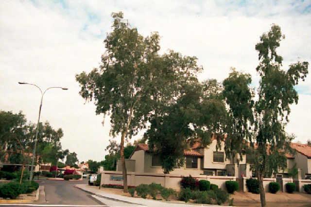 3491 N Arizona Ave. #169, Chandler, AZ 85225