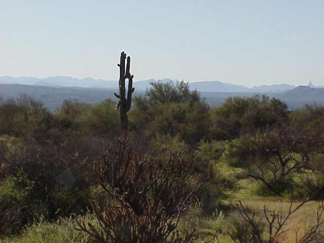 N 168th St. #1, Scottsdale, AZ 85252