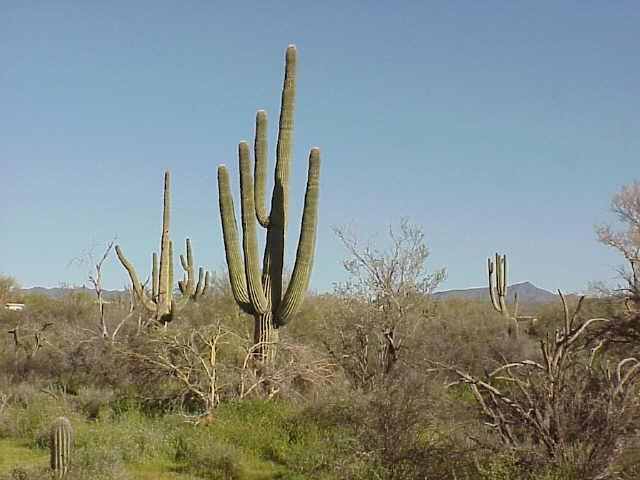 N 170th St. #5, Scottsdale, AZ 85262