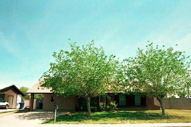 19 N 132nd St., Chandler, AZ 85225