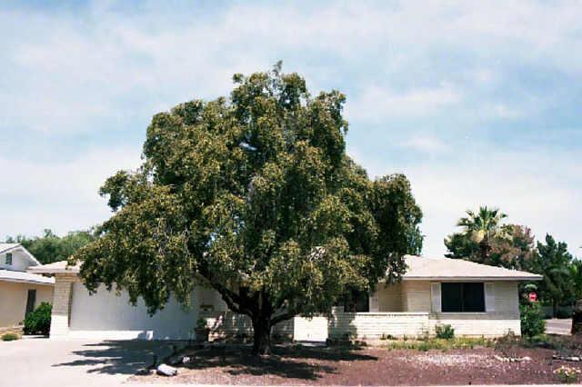 1150 E Sesame St., Tempe, AZ 85283