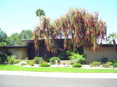 6522 N 2nd St., Phoenix, AZ 85012