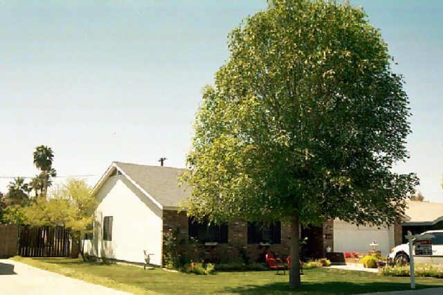 340 N Pioneer St., Mesa, AZ 85203