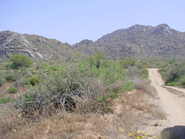 128 E Pinnacle Peak Rd. #J, Scottsdale, AZ 85255