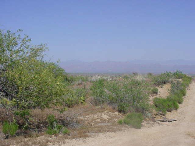 130 E Pinnacle Peak Rd., Scottsdale, AZ 85255