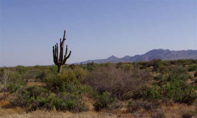 3 N 148 St., Scottsdale, AZ 85262