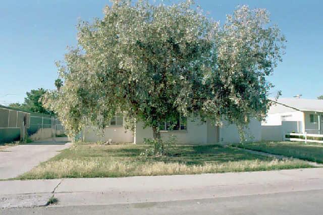 2939 W Seldon Ln., Phoenix, AZ 85051