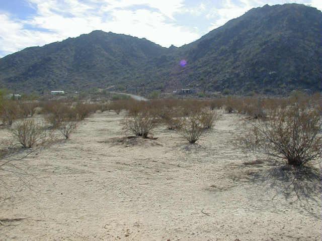 W Sunbake Ln. #D, Maricopa, AZ 85239