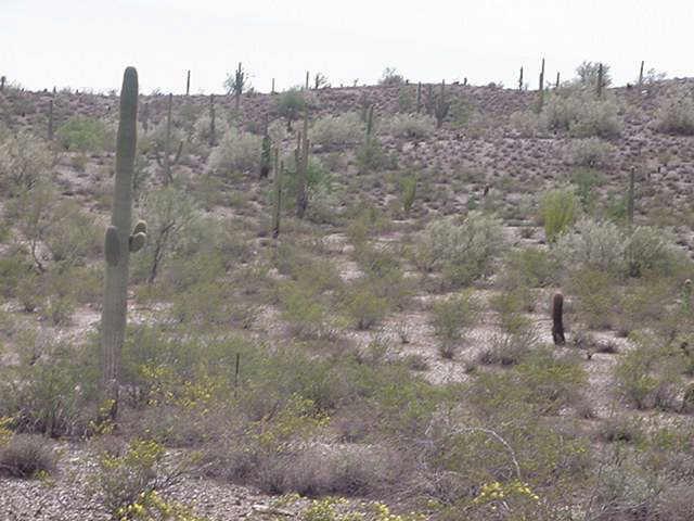 N Bryce Ter., Queen Creek, AZ 85242