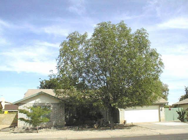 2565 S Patterson St., Mesa, AZ 85202