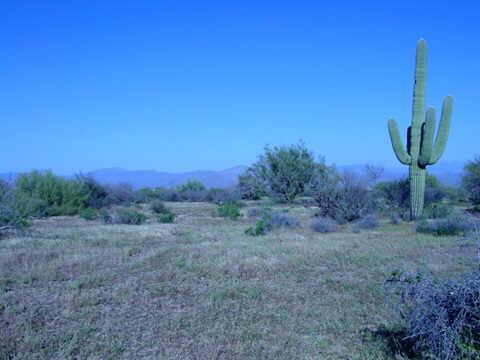 E 147th Dr., Rio Verde, AZ 85262