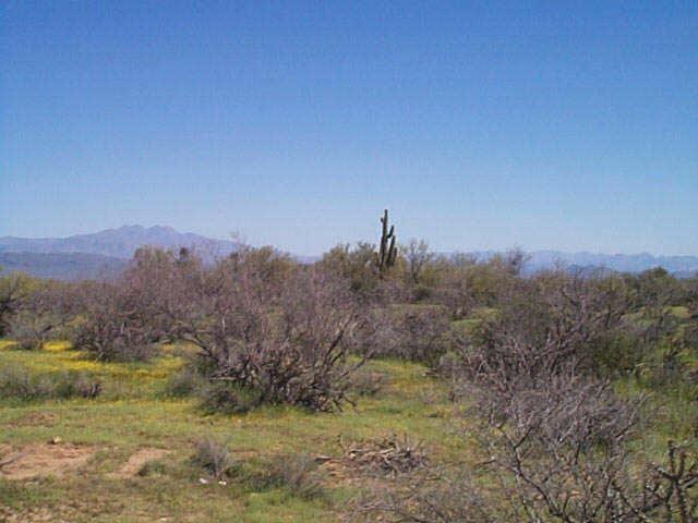 140 E 140th St/ranch Road Rd. #2, Scottsdale, AZ 85262