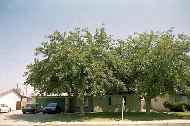 2174 E Concorda Dr., Tempe, AZ 85282