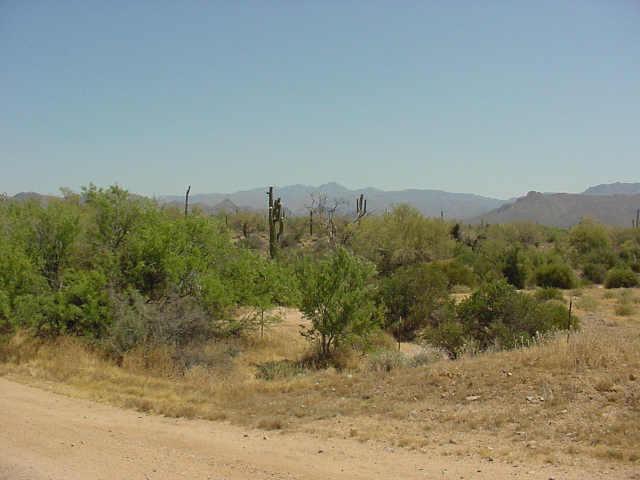 30610 N 176th St., Rio Verde, AZ 85263