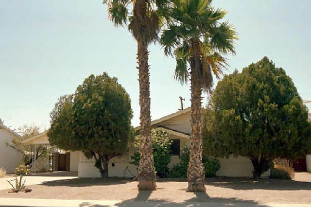 456 S Forest St., Mesa, AZ 85204