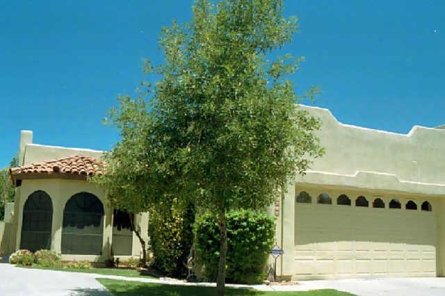 11463 N 42 St., Phoenix, AZ 85028