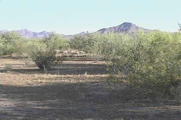 N 453rd Ave., Aguila, AZ 85320