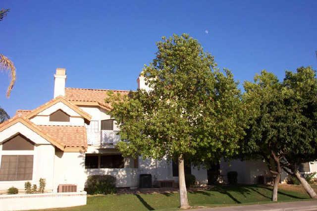 1001 N Pasadena St. #123, Mesa, AZ 85201