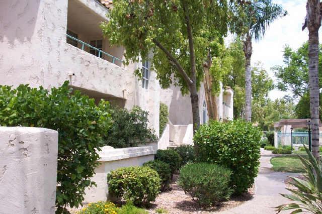 1333 E Morten Ave. #117, Phoenix, AZ 85020