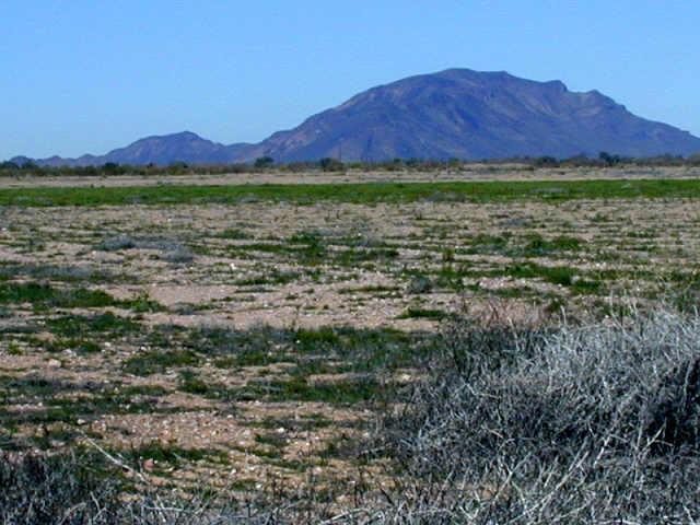 41100 W Camelback Rd., Tonopah, AZ 85354