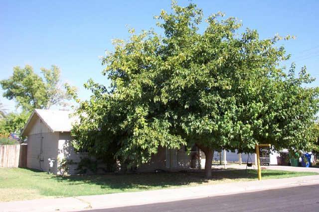 354 E 8th Dr., Mesa, AZ 85210