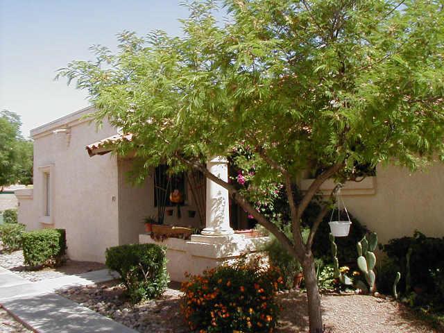 97 N Cooper Rd. #89, Chandler, AZ 85225