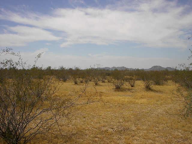 24000 S 195 (approx) Ave., Goodyear, AZ 85338