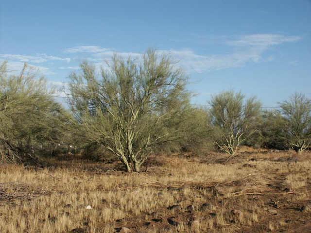 42128 N 10th St., New River, AZ 85086