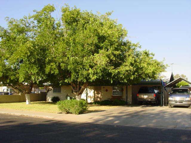 129 N Maple St., Mesa, AZ 85205