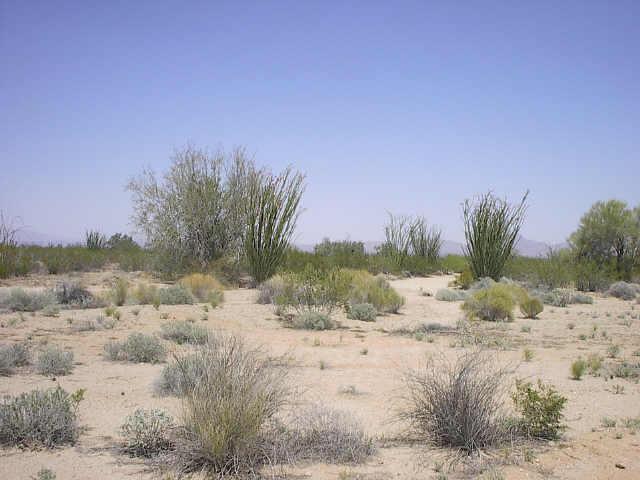 56500 W Centennial (approx) Rd., Tonopah, AZ 85354