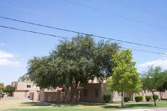 4441 E Wood St., Phoenix, AZ 85040
