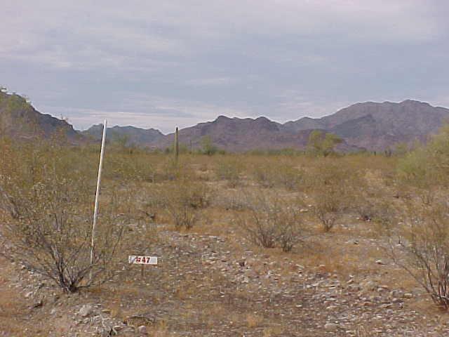 41301 W Mountain View Rd., Tonopah, AZ 85354