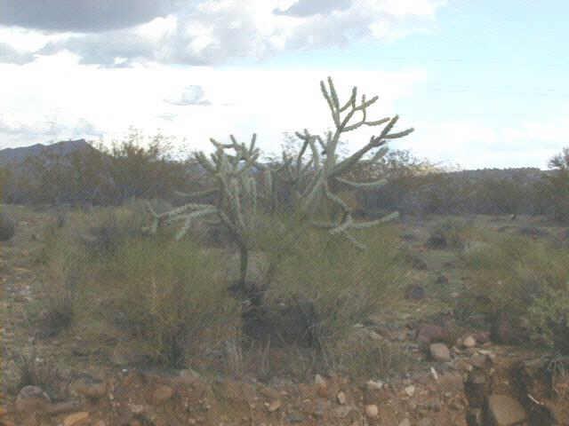 N 10.857 Ac #15A, Wickenburg, AZ 85390