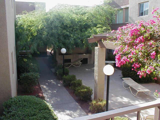 1808 N 32nd St. #206, Phoenix, AZ 85008
