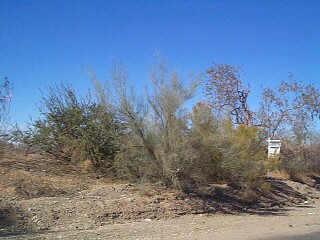 N 163rd Ave. #01, Surprise, AZ 85374