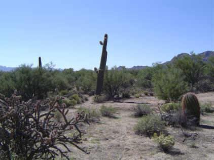 N 139th St., Scottsdale, AZ 85262