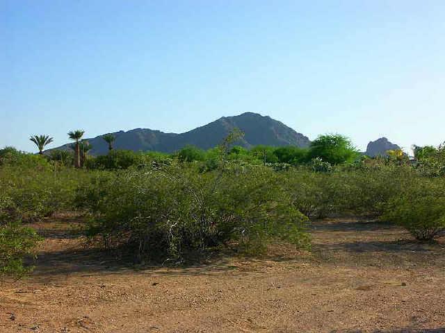 7050 N 69th Pl., Paradise Valley, AZ 85253