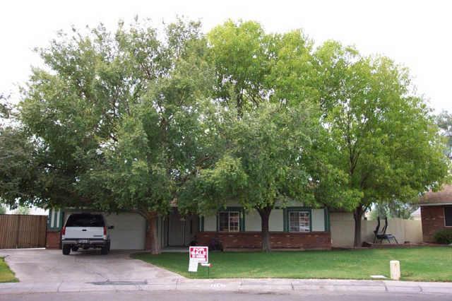 1150 N Cedar St., Gilbert, AZ 85233