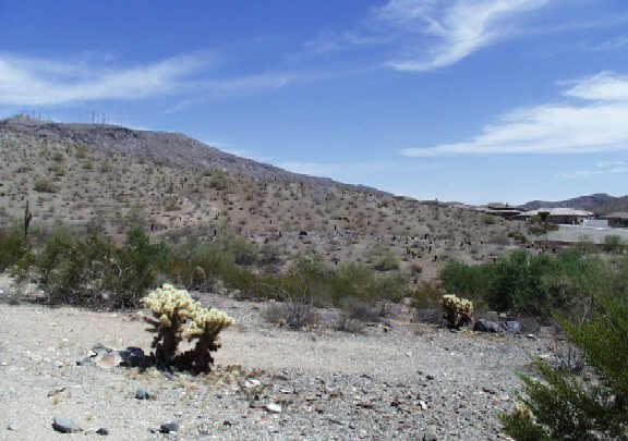 14617 S Presario Ter. #25, Phoenix, AZ 85048