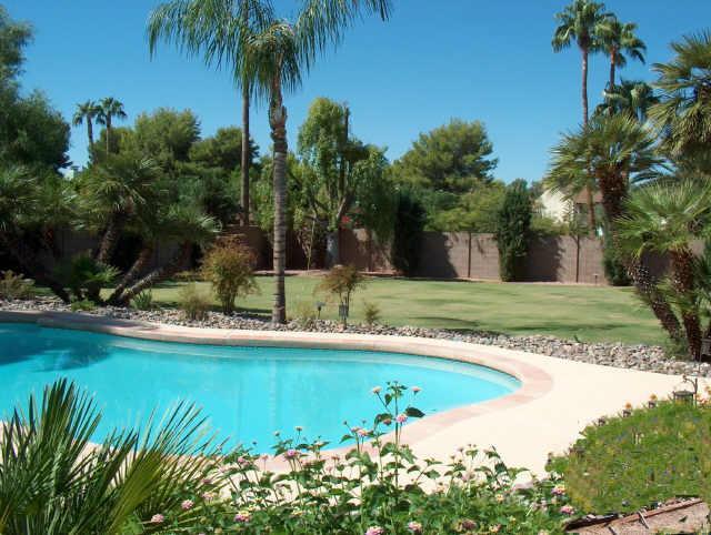 311 E Waltann Ln., Phoenix, AZ 85022