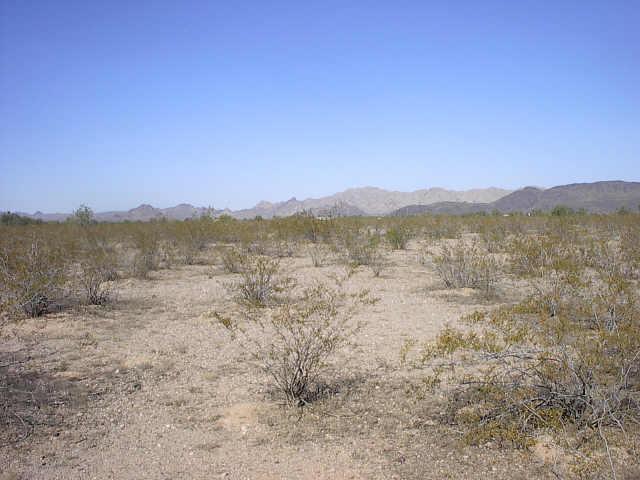 N 391 (approx) Ave., Tonopah, AZ 85354