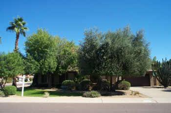 14021 N 47 St., Phoenix, AZ 85032